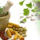 Why You Should Consider Ayurvedic Companies For Franchise