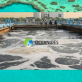 sewage treatment solutions