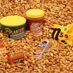 peanut paste suppliers India