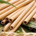 eco friendly paper sticks